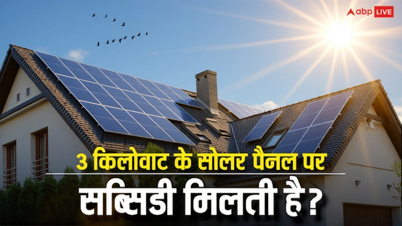 India Blocks China’s WTO Panel Bid Over Solar, IT Subsidies
