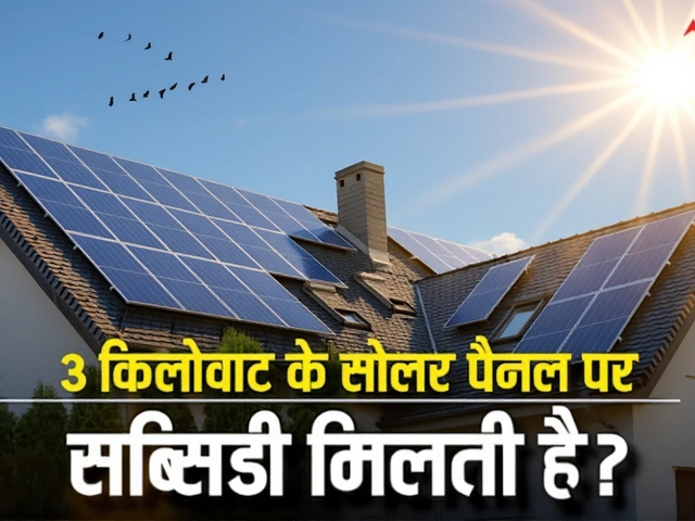 India Blocks China’s WTO Panel Bid Over Solar, IT Subsidies